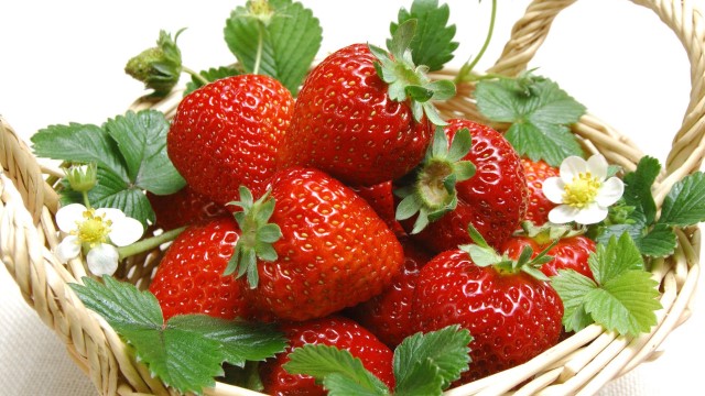 草莓烂根怎么处理烂根了补救处理方法(草莓烂根烂苗怎样用药)