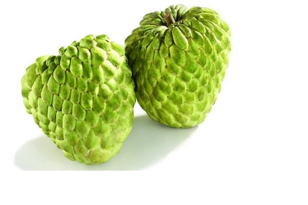 释迦果的功效与作用(玫瑰释迦果的功效与作用)