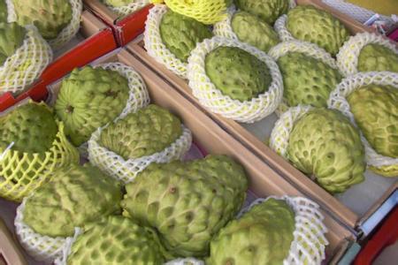 玫瑰释迦果的功效与作用