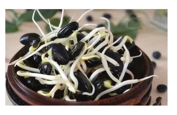 黄豆和黑豆可以一起煮着吃吗