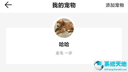 怎样取消qq宠物里的宠物(宠物绑定了设备无法删除)