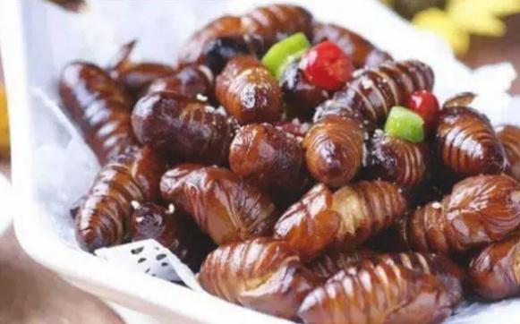 蚕蛹有什么营养价值蚕蛹一天吃多少适合(蚕蛹吃多少对身体有好处)