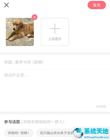 爱宠网怎么买宠物(爱宠服务端控制工具)