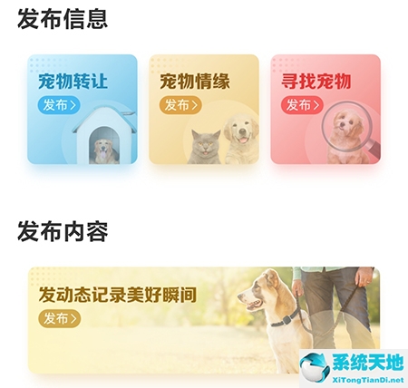 爱宠网怎么买宠物(爱宠服务端控制工具)