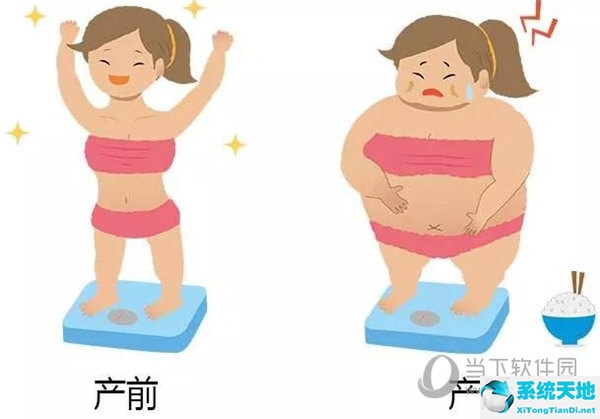 产后康复项目价格表(产后康复的app有吗)