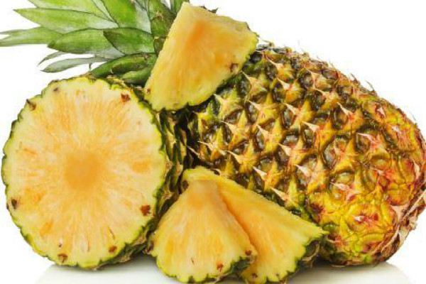 菠萝的花语和历史(菠萝的花语是什么意思)