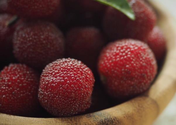 杨梅和苦瓜能一起吃吗杨梅和虾能一起吃吗(杨梅苦瓜汤)