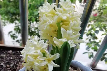 隐隐作痛怎么写