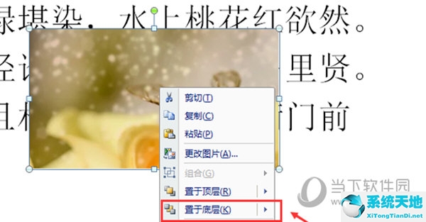 表格怎么设置图片四周环绕(word四周型环绕怎么设置)