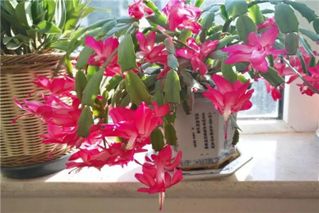 隐隐作痛怎么写