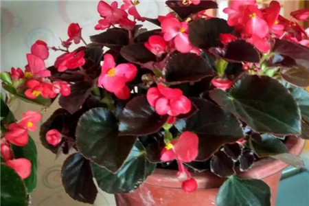 隐隐作痛怎么写