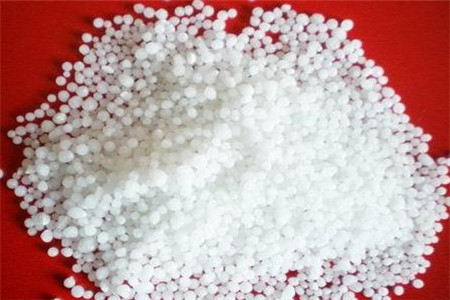 梅花栽在庭院什么方位