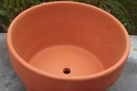 绿萝用高盆还是矮盆好养