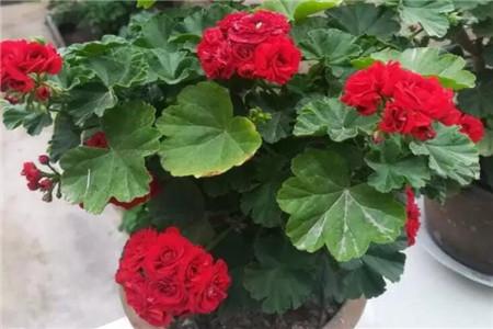 隐隐作痛怎么写