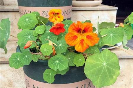 隐隐作痛怎么写