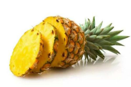 菠萝的花语是什么意思