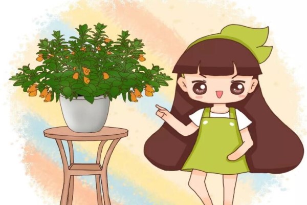 奶奶养的吊兰竟然爬满小金鱼狂窜20米拦都拦不住！(吊兰小金鱼咋样栽)