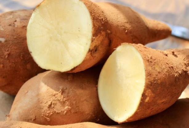 吃完了雪莲果突然嗓子疼