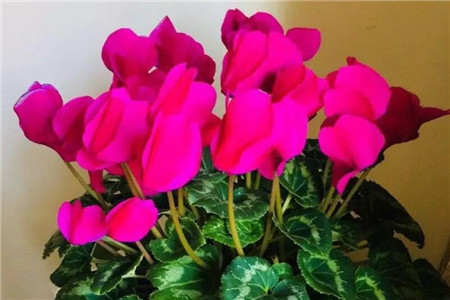 隐隐作痛怎么写