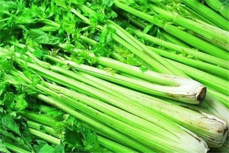 香芹和芹菜的区别图片