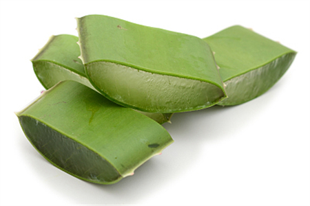 芦荟的功效与作用百度百科