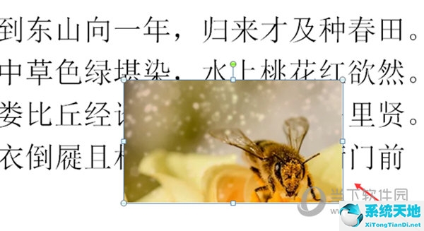 表格怎么设置图片四周环绕(word四周型环绕怎么设置)