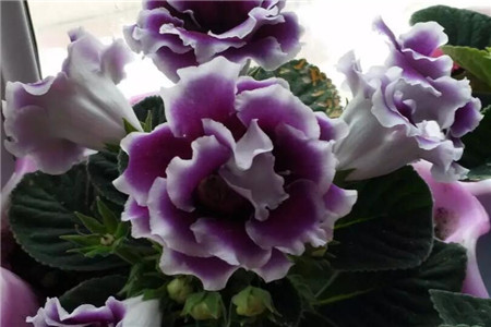 隐隐作痛怎么写