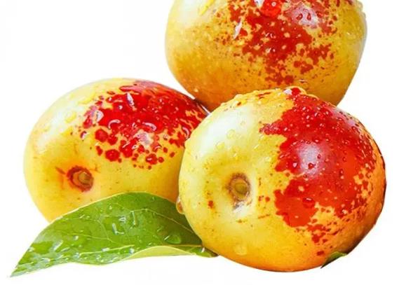 冬枣好还是红枣好冬枣干了是红枣吗(冬枣好么)