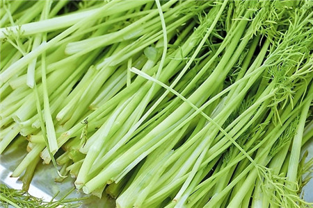 香芹和芹菜的区别图片