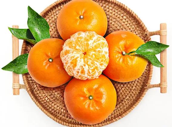 口腔溃疡可以吃沃柑吗高糖滋腻加重溃疡症状(口腔溃疡吃沃柑好吗)