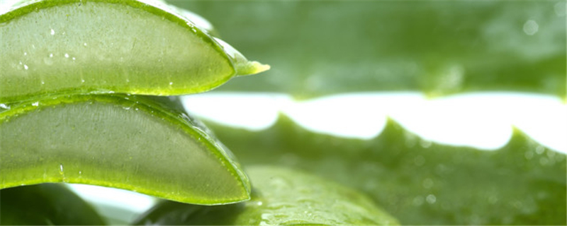芦荟的功效和作用芦荟怎么吃(芦荟的功效与作用百度百科)