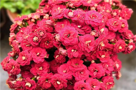 隐隐作痛怎么写