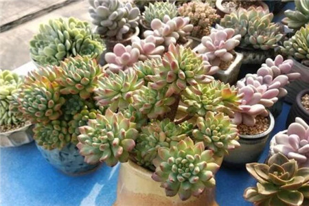 隐隐作痛怎么写