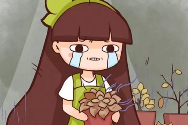 这11种花夏天越浇水死得越快！(隐隐作痛怎么写)