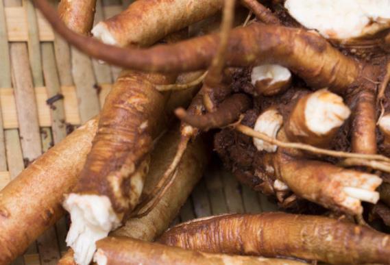 吃当归苦是什么原因