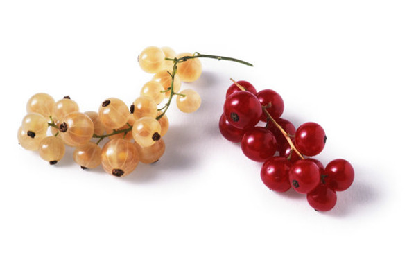 鹅莓的食用方法(鹅莓百科)