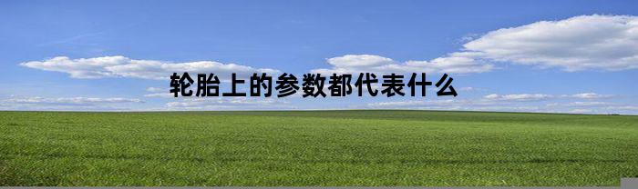 轮胎上的参数都代表什么(轮胎上参数的含义)