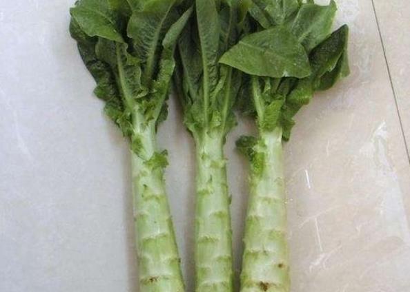 莴笋是凉性还是热性的