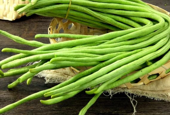 豆角能与南瓜一起吃吗豆角有什么营养价值(豆角可以和南瓜一起煮吗)