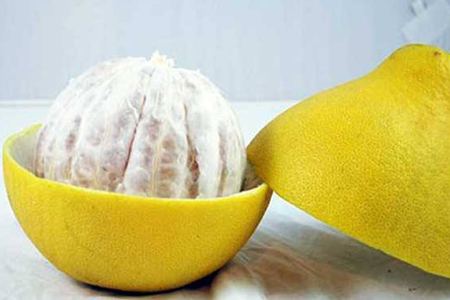 长寿沙田柚种在什么地方