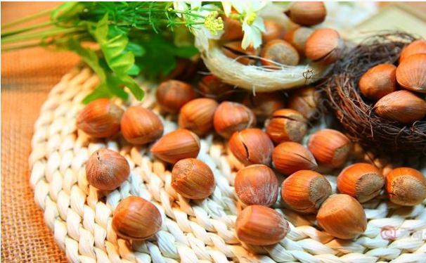 榛子生吃还是熟吃好吃