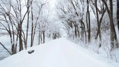 2021年湖南会下雪吗