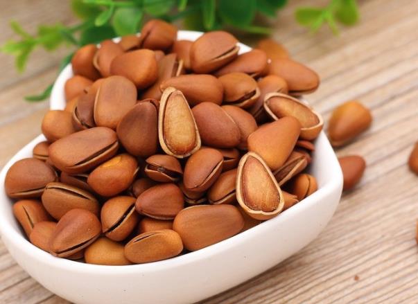 松子可以和红枣一起吃吗