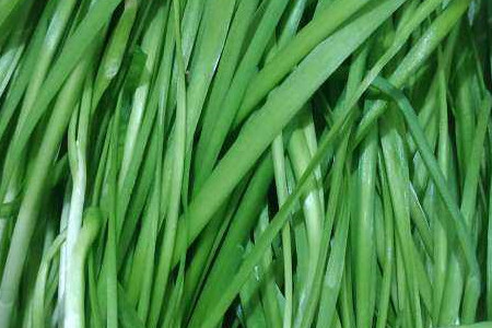 韭菜的功效与作用有哪些