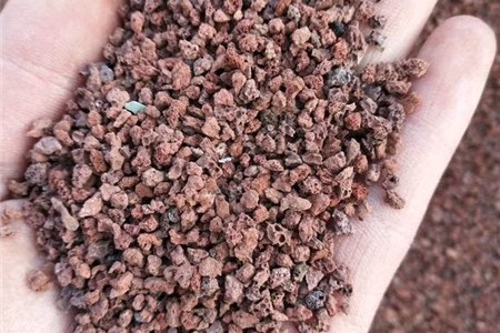 土养兰花到底好不好