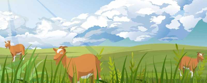 哪个动物瞳孔是长方形的哪种动物的瞳孔是长方形的(哪种动物的瞳孔是长方形的)