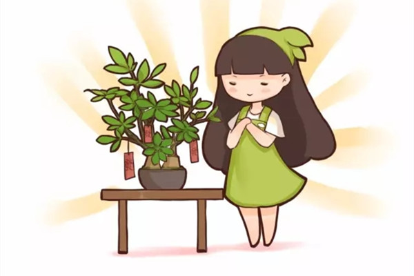 30种植物的风水意义养花人必看(植物的风水作用)