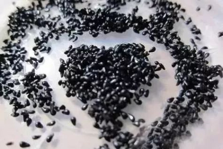 火龙果种植方法和注意事项