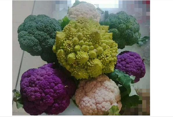 西兰花黄了掉籽还能吃吗