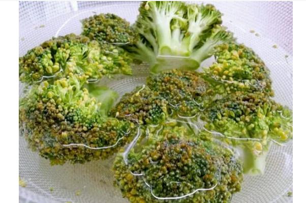 西兰花出黄籽还能吃吗西兰花顶发紫怎么回事(西兰花黄了掉籽还能吃吗)